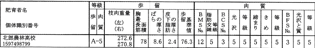格付け.png