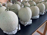 野菜　メロン.jpg