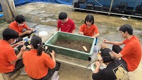 IMG_6773.jpg