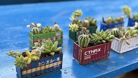 IMG_6777.jpg